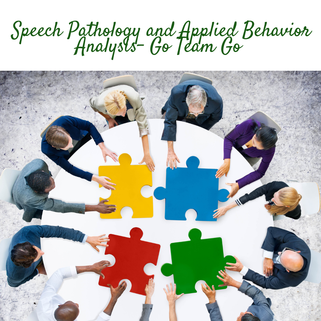 Speech Therapy and Applied Behavior Analysis Webinar